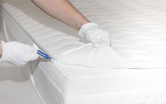 dynaglobe bett